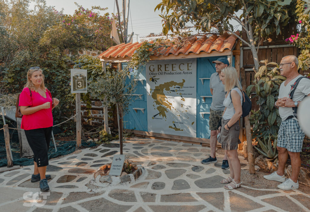 Cretan Olive Farm – Village Trip, Excursions in East Crete